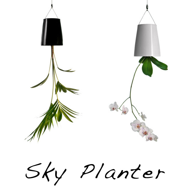 skyplanter