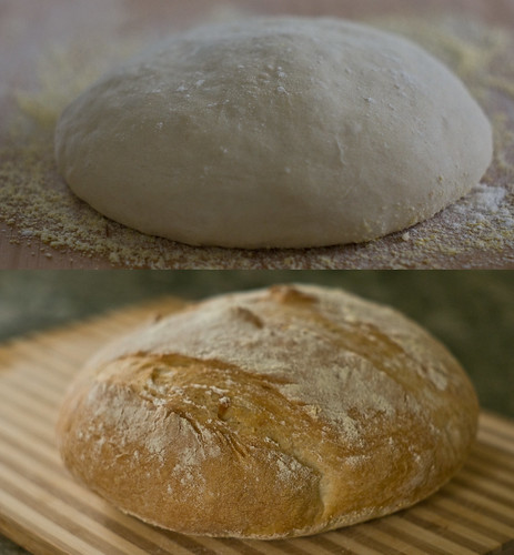 Bread (Before and After)