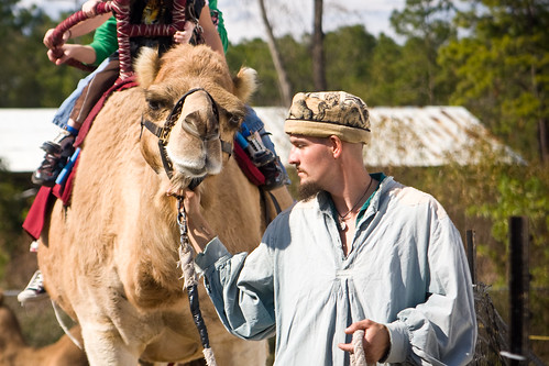 Camel & Handler