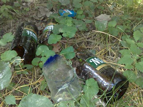 Vase de plastic şi de sticlă aruncate în pădure (unele sparte)