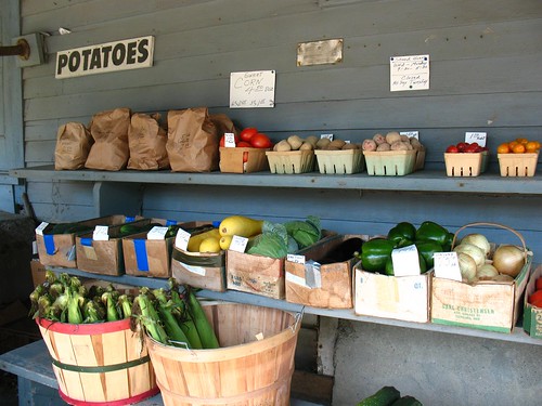 Farmstand in Raymertown, NY