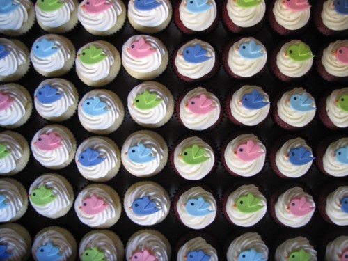 Rows of cupcakes with the Twitter bird logo on top