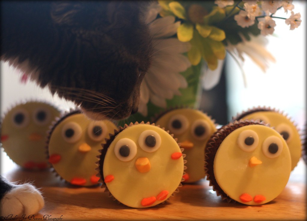 Spooky Bear Approves of the Spring Chick Cupcakes