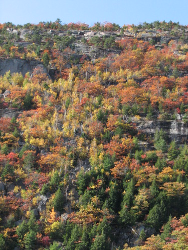 October on MDI, Maine