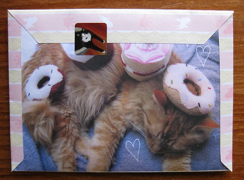 Stuff on my cat fold and mail: doughnut surprise