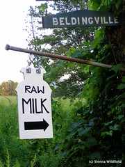 Raw Milk in Ashfield, MA