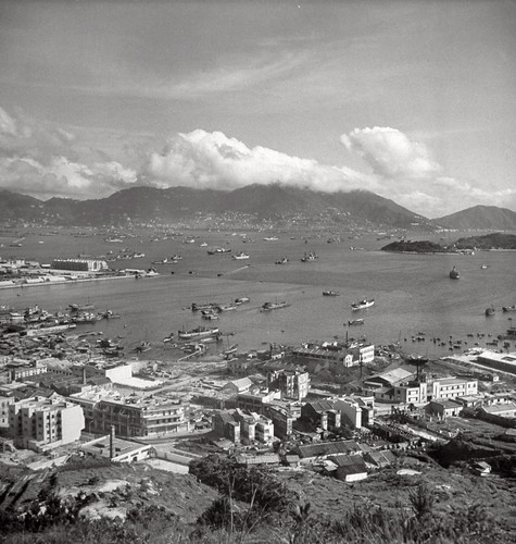 1951 Lai Chi Kok