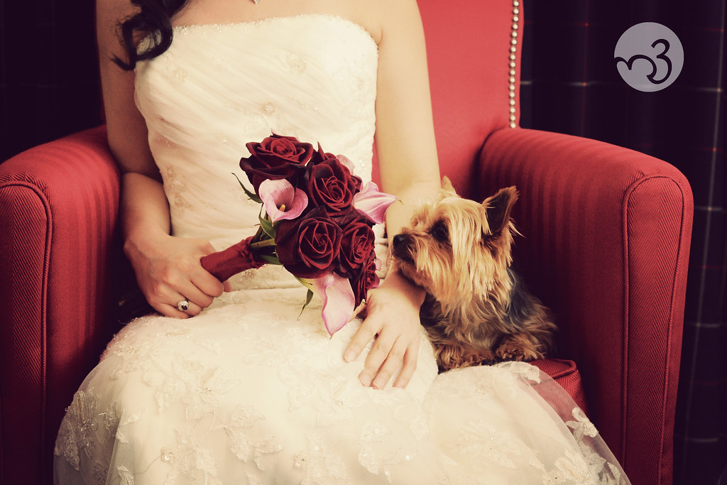 Bride with her Dog