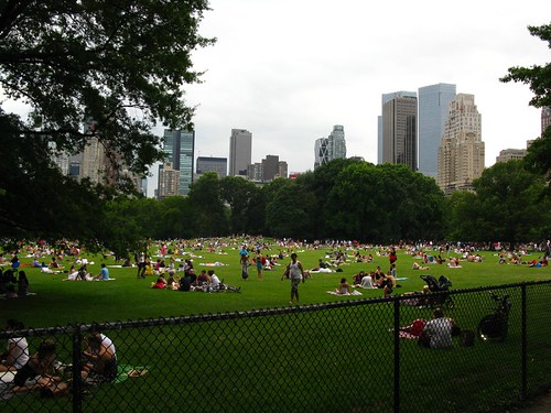 Central Park Lawn