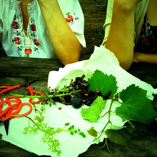 enjoying delicious grapes w/best friends