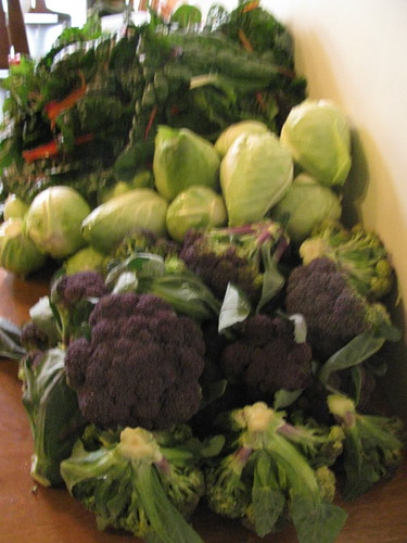 chard cabbage broc