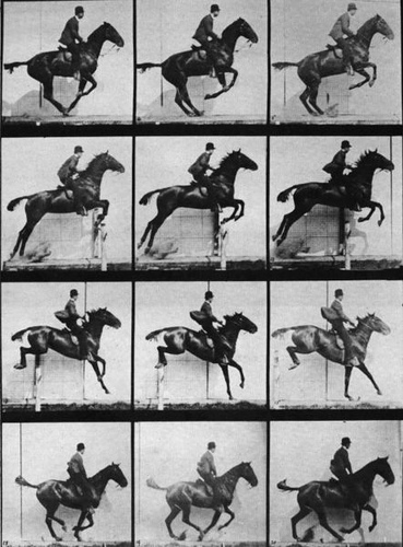 Muybridge's horses