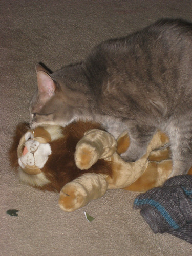 sheldon loving lion toy