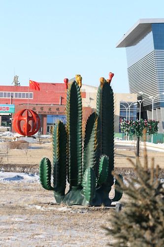 Cactus on the Sino-Soviet Border (by niklausberger)