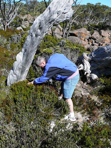 Geokashers Hunting for 'Currawong View'