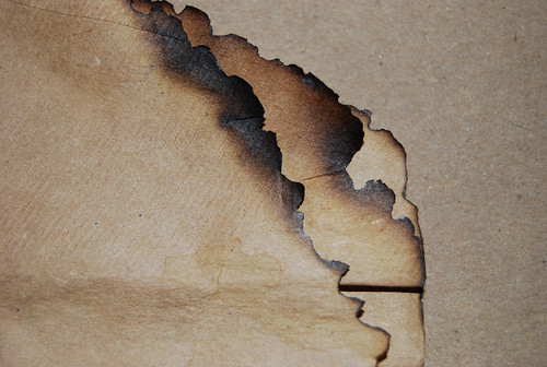 Burnt Paper Texture 03