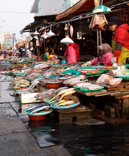 Jagalchi fish market (Busan)