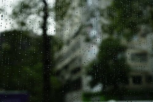 出發前的車窗。早上下起了綿綿陰雨，這倒是SONY外拍活動難得的雨天。