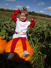 Lilliann Sitting On A Giant Pumpkin