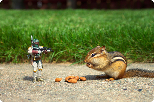 Step Away From The Nuts!