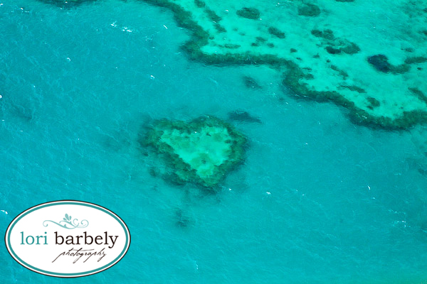 Heart Reef Lori Barbely Australia travel photographer