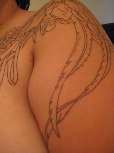 quetzal tattoo. Quetzal Tattoo Outline