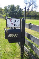 Tuggle'sFollySept2009 - 02