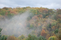 mist on the hills