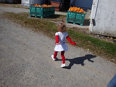 Running Towards The Pumpkins