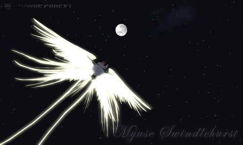 Angel of moonlight night