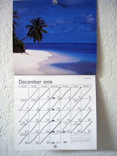 calendar year (12-30-08)