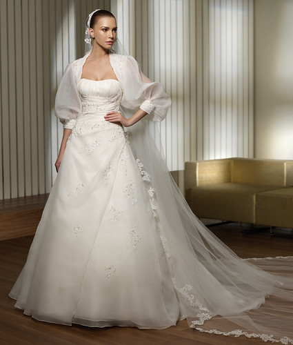 3389266491 c9a20b10bf Most Beautiful Wedding Dresses