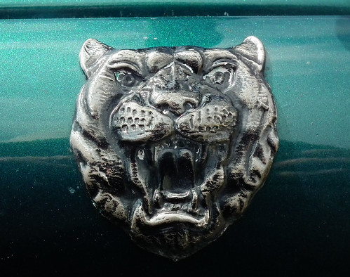 Jaguar nissan r sport emblems #3