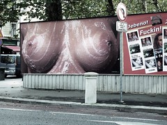 Fuckin' breasts