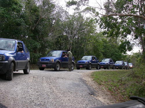 Jeep - Safari