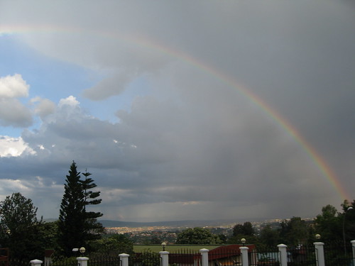 Rwandese Rainbow