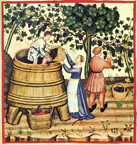 004- Otoño recoleccion de la uva y preparacion del mosto-TACUINUM SANITATIS- Biblioteca Casanetense Ms. 4182