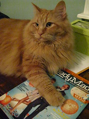 Jasper with his copy of ReadyMade