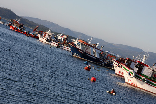 Barcos no porto da Illa