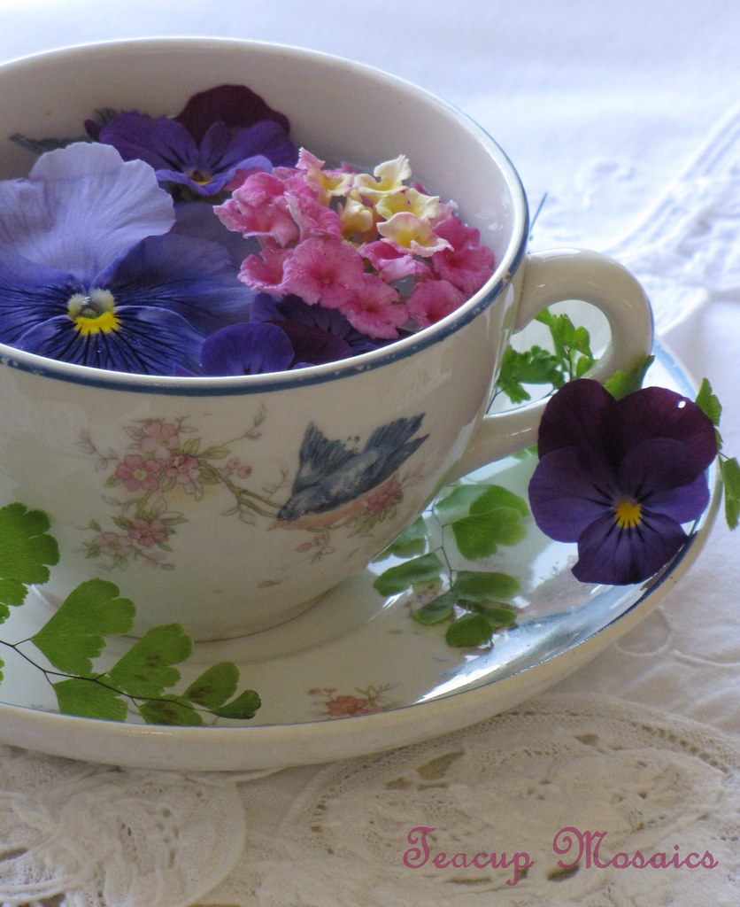 Bluebird-Tea-and-Lace