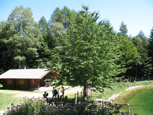 Das Forsthaus Pfaunboden auf dem Weg vom Gasthof Buchwald in Reichtung Bergner Kreuz
