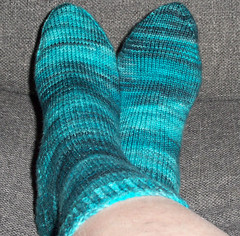 Pagewood Farms Sock Complete