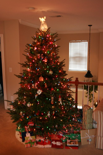 our tree- 2008