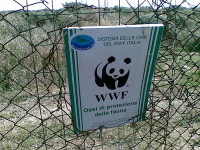 Rome WWF or garbage dump?