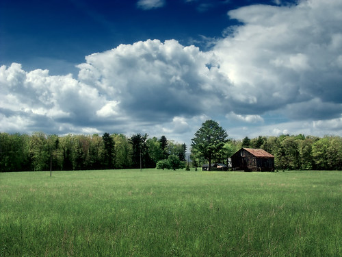 フリー写真素材|自然・風景|田畑・農場|草原|アメリカ合衆国|ペンシルベニア州|