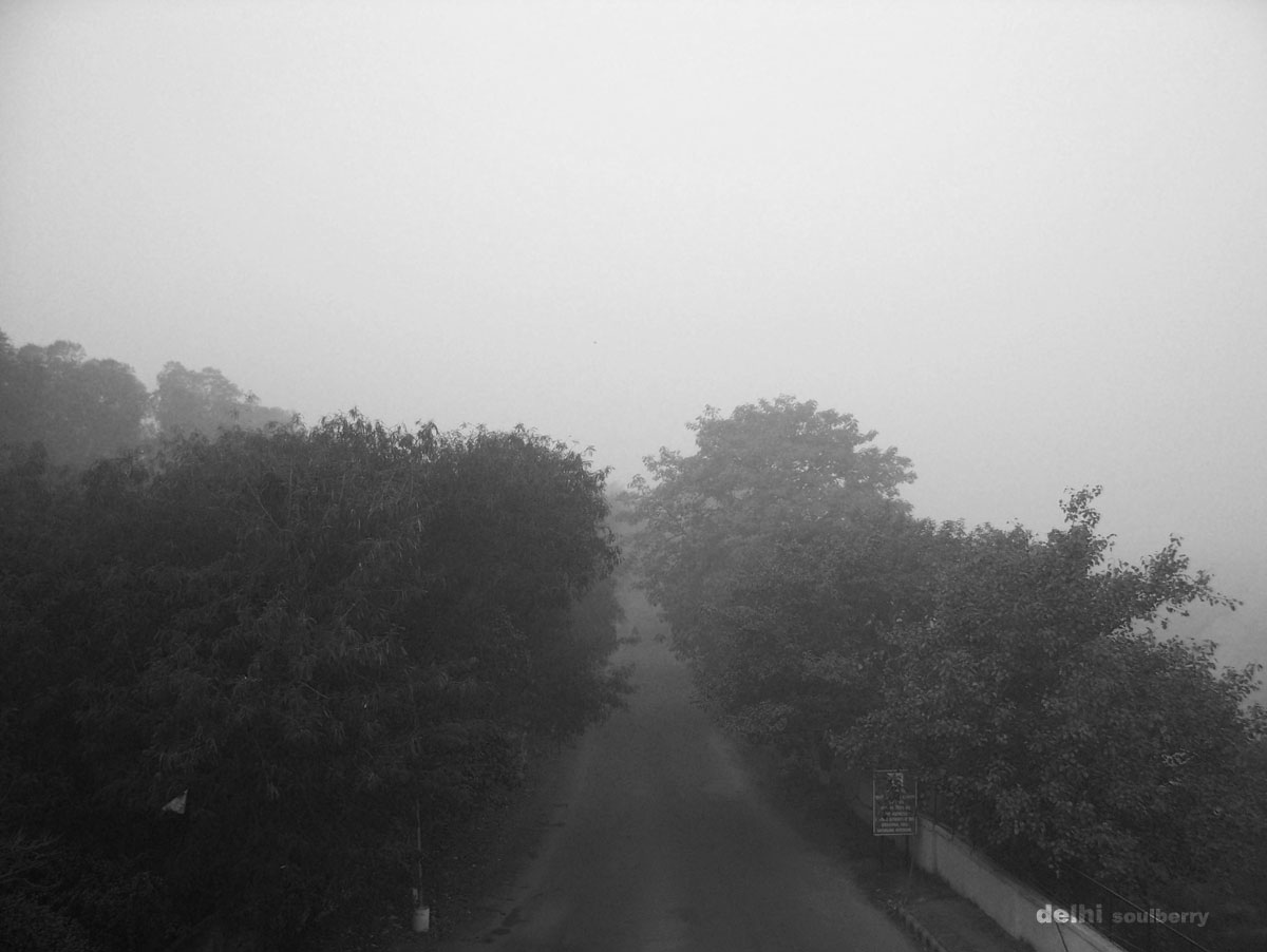 road-into-fog2