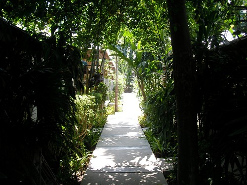 Koh samui Evergreen resort path2