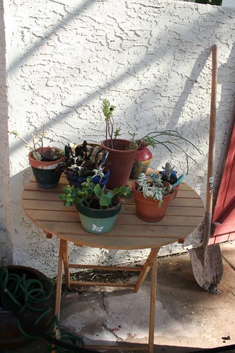 Potting table, after