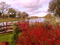 Fall at Göta Canal in Sweden #4