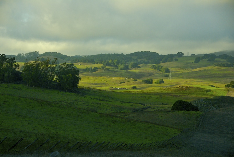 The rolling hills of..
